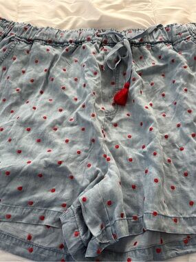 Matilda Jane Light Blue Shorts with Red Polka Embroidery